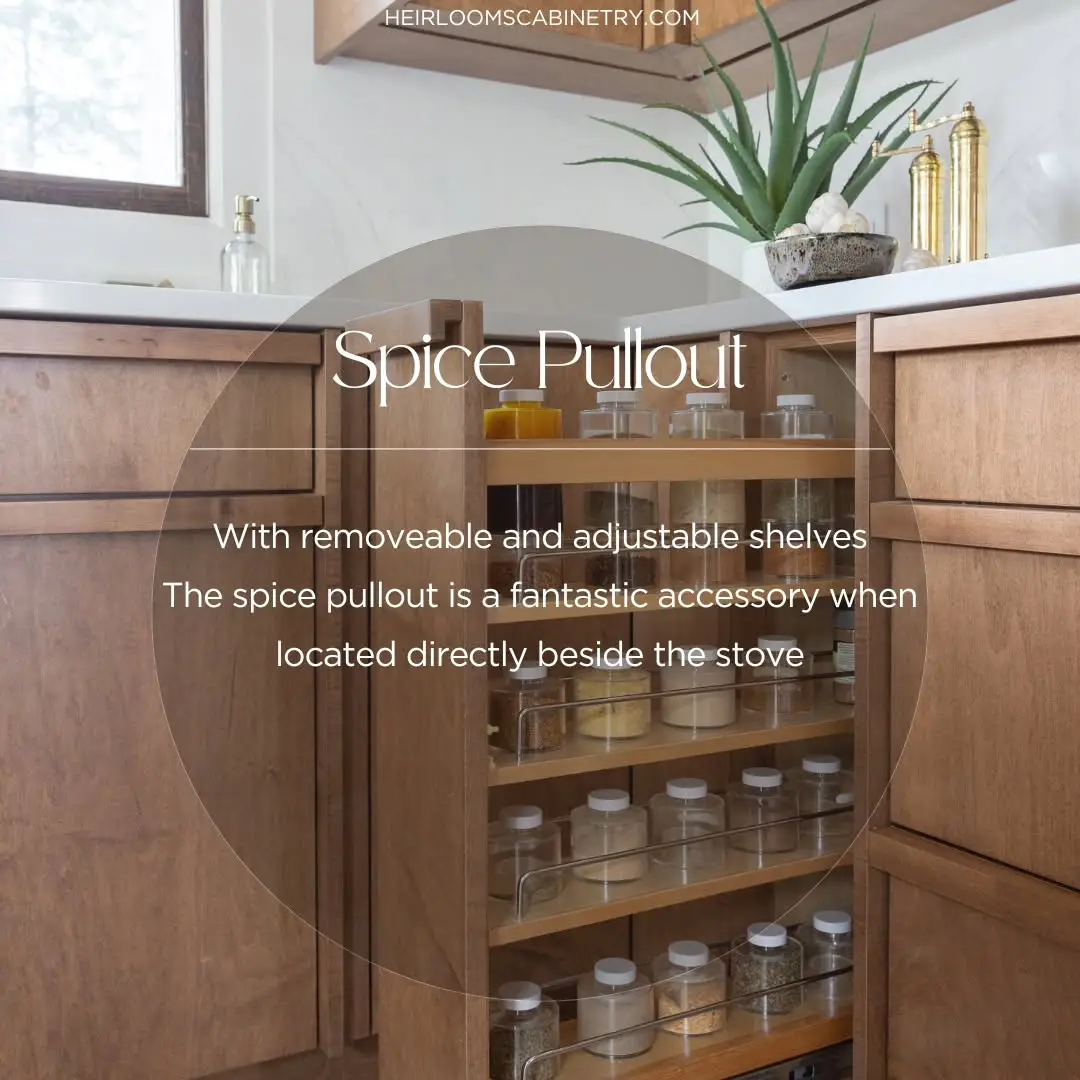Kitchen Accessories & Spice Pullout - Image 3