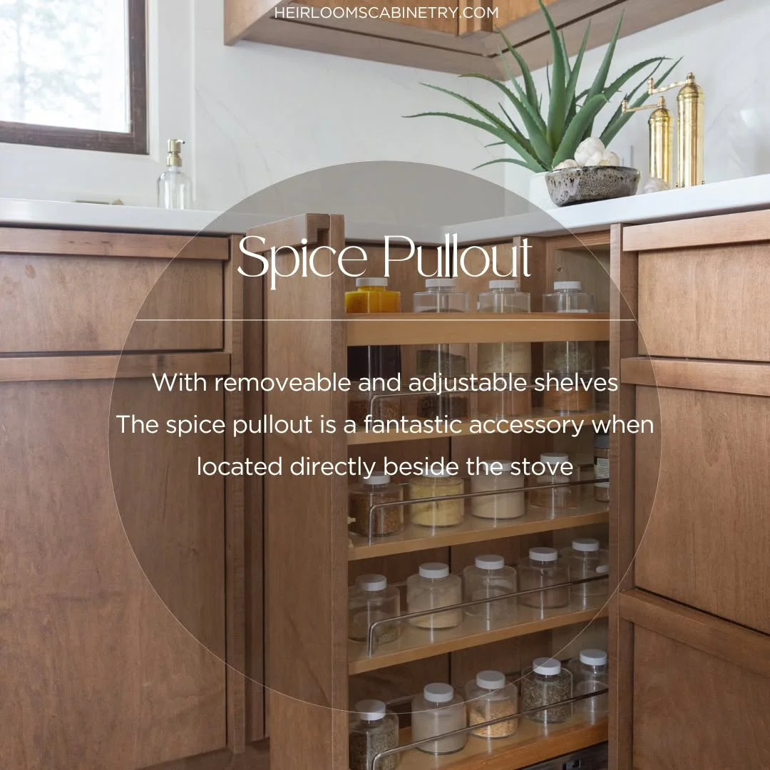 Kitchen Accessories & Spice Pullout - Image 3