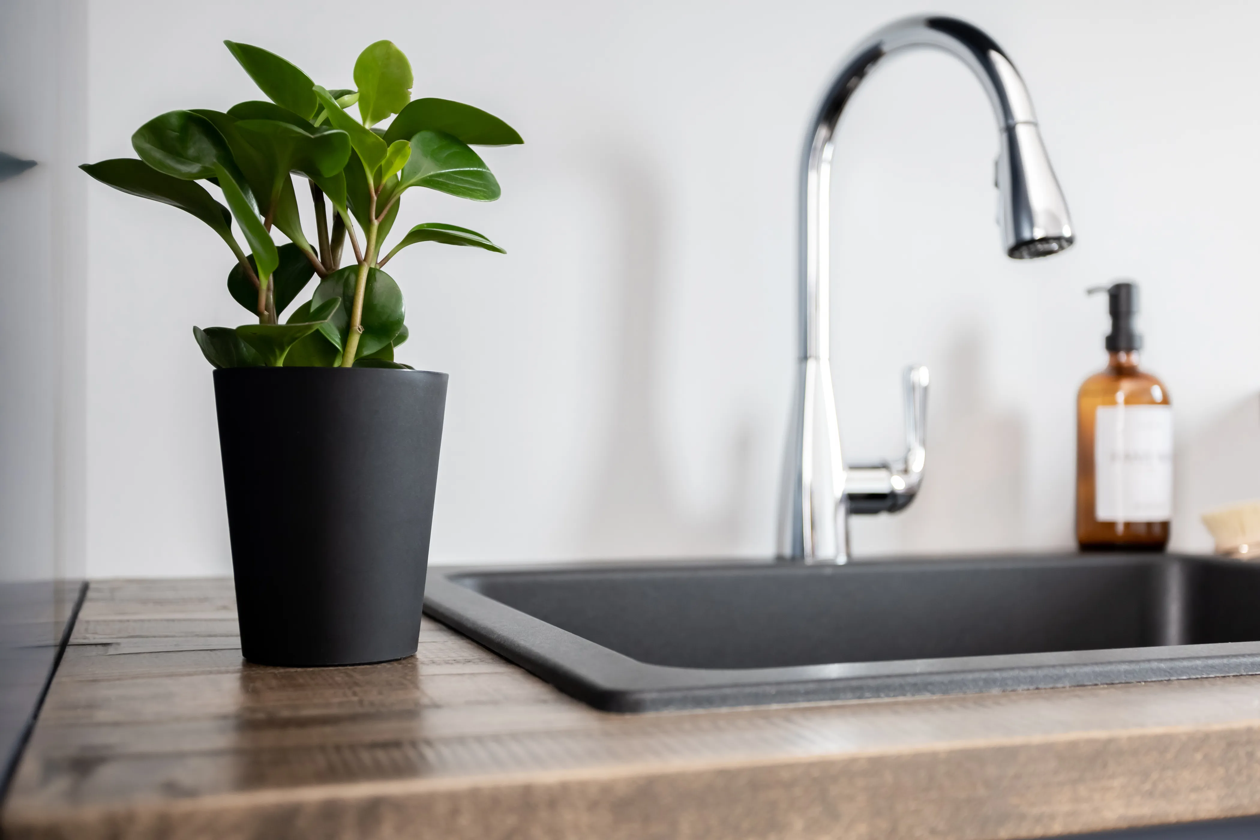 Brunner-Ball Residence - Laundry Room - Image 10